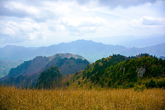 秦岭高山草甸