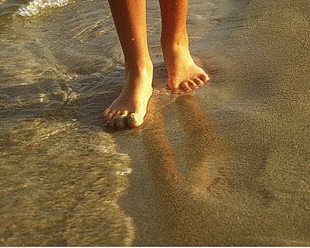 特写,女人,脚,海浪,海滩