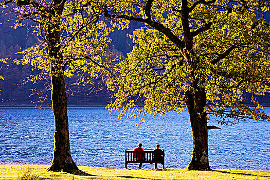 情侣,坐,吃饭,午餐,长椅,湖