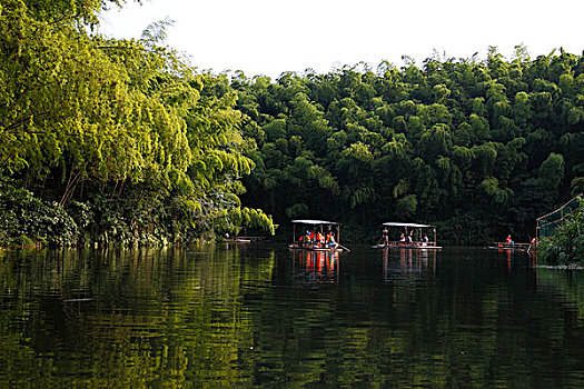 竹林竹海竹子和干净的湖,竹筏划船