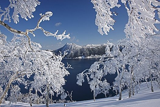 霜,湖