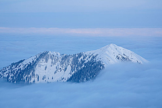 风景,顶峰,冬天,巴伐利亚阿尔卑斯山,上巴伐利亚,巴伐利亚,德国