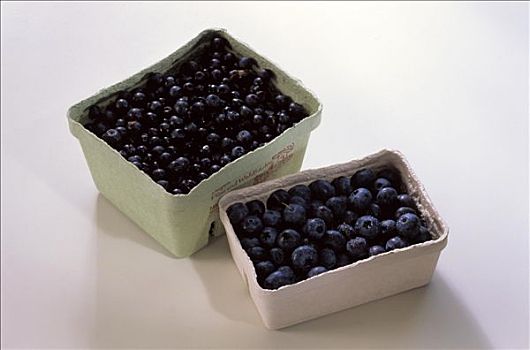 蓝莓,越桔,扁篮