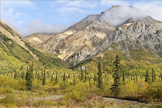 山峦,托奇那山地区,阿拉斯加,美国