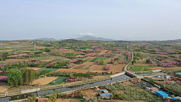 山东省日照市,暮春四月的美丽乡村,如一幅幅生态画卷