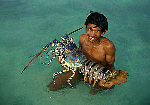 男孩,大,大螯虾,宿务,岛屿,米沙鄢,菲律宾,亚洲