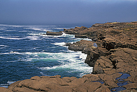 岩石构造,海岸