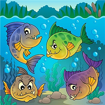 四个,水虎鱼,鱼,水下
