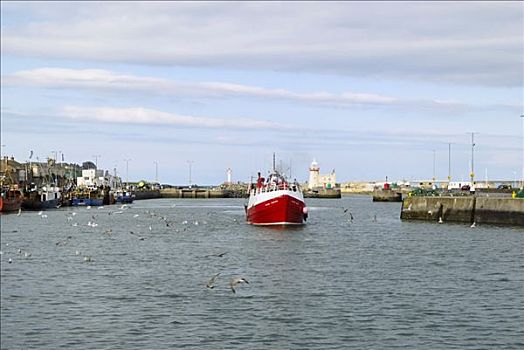 鱼肉,拖船,海洋,转,港口,靠近,都柏林,爱尔兰