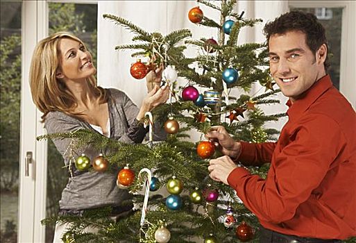 伴侣,装饰,圣诞树