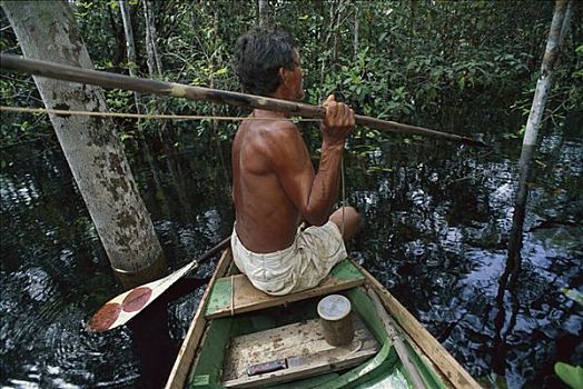亚马逊地区,海牛,猎捕,违法,活动,安静,食物,里奥内格罗,亚马逊河,巴西