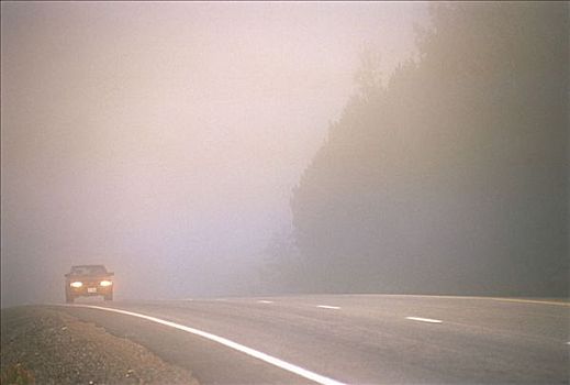 汽车,途中,雾