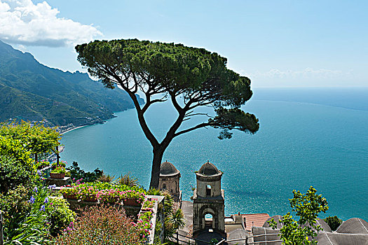 风景,海岸,海洋,松树,教堂,教会,拉韦洛,阿马尔菲海岸,坎帕尼亚区,意大利,欧洲