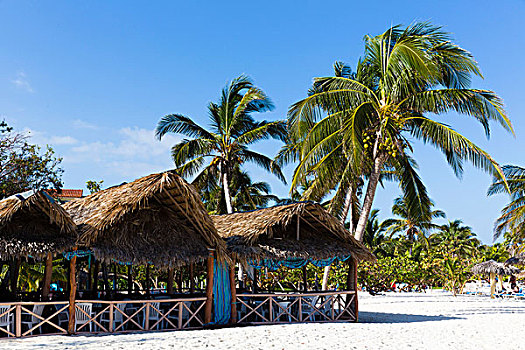 度假,棕榈树,海滩,省,圣斯皮里图斯,古巴,大安的列斯群岛,加勒比
