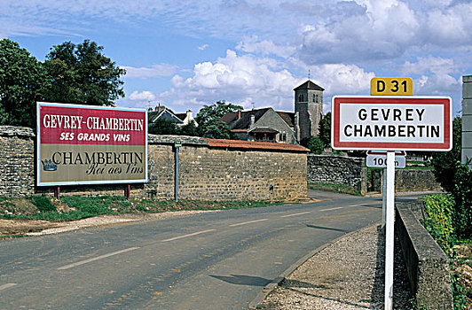 法国,勃艮第大区,路标,乡村,广告牌