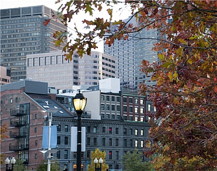 波士顿,秋天