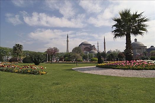 圣索菲亚教堂,花坛,草,公共草地,伊斯坦布尔,土耳其