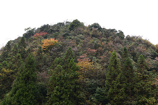 大山秋季风景