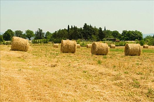干草包,地点,锡耶纳省,托斯卡纳,意大利