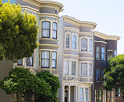 旧金山,维多利亚式房屋,太平洋,高度,加利福尼亚