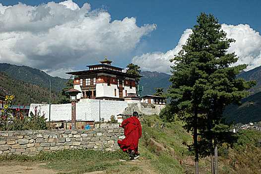 年轻,僧侣,寺院,廷布,不丹,十一月,2007年