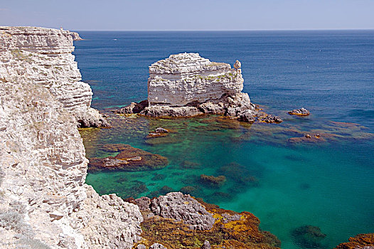海龟,石头,悬崖,海岸,岬角,克里米亚,乌克兰,欧洲