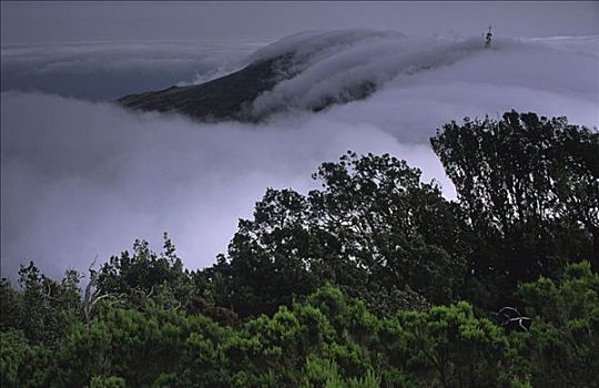 云,上方,国家公园,加拉霍艾,加纳利群岛,西班牙