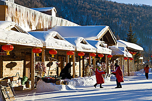 雪乡,双峰林场,村庄,风景,白天,黑龙江,牡丹江