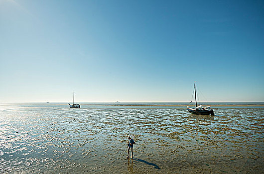 瓦登海,夏天