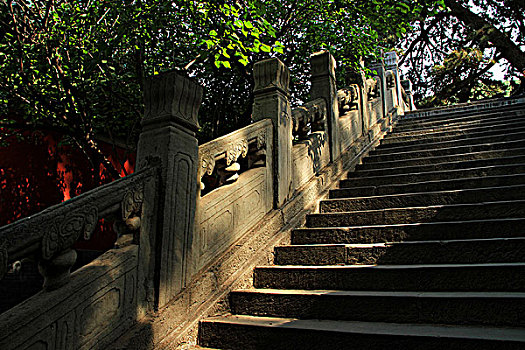 北京戒台寺阳光里的台阶
