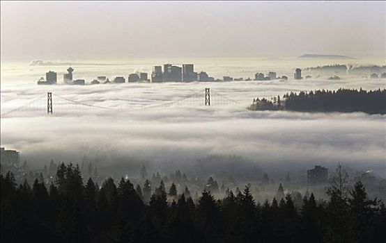 云海,桥,城市天际线,背景,温哥华,不列颠哥伦比亚省,加拿大