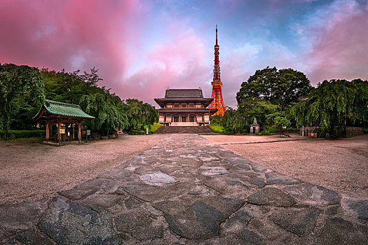庙宇,东京塔,早晨,东京,日本