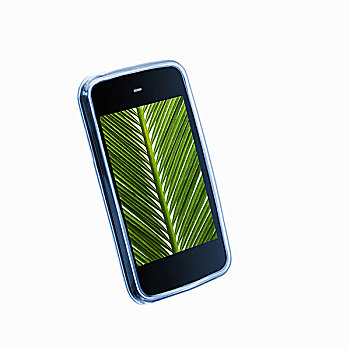 小,手持,沟通,装置,电话,绿色,棕榈叶,图像