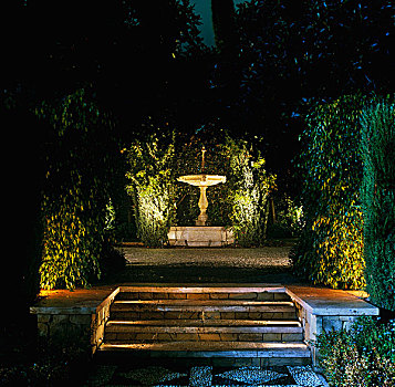 夜晚,生动,聚光灯,喷泉,花园
