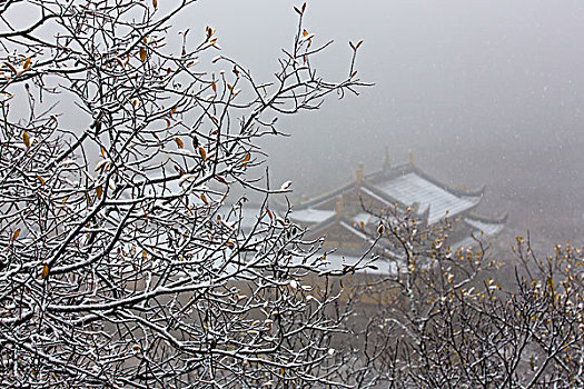 川西黄龙雪景