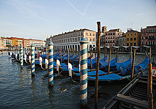 意大利,威尼斯,排,蓝色,小船,停泊,码头