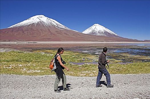 泻湖,火山,右边,玻利维亚,靠近,边界,智利,南美