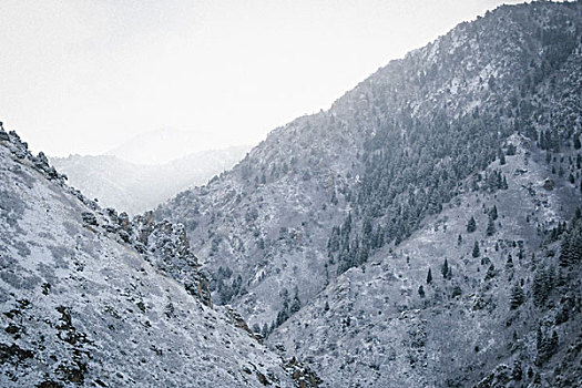 山景,积雪,斜坡,山谷