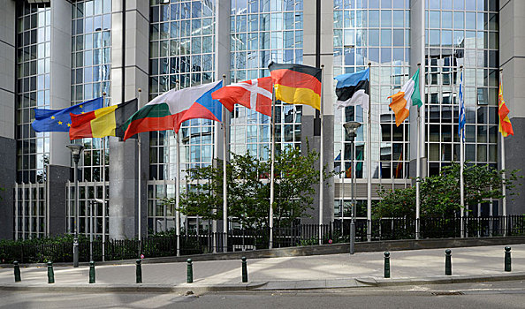 国旗,多样,国家,欧洲议会,布鲁塞尔,区域,比利时,欧洲