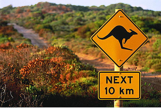 标识,袋鼠,岛屿,澳洲南部,澳大利亚