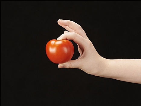 孩子,手,西红柿