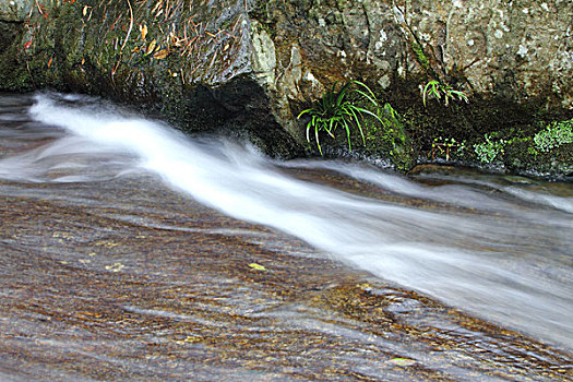 山中的溪水