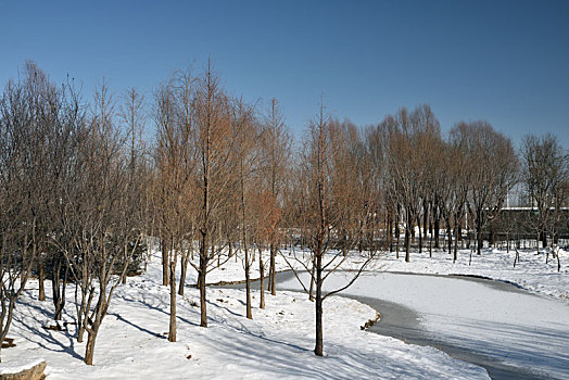 河北省石家庄市龙泉湖公园雪景