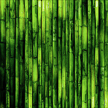 竹子,墙壁,图像,背景