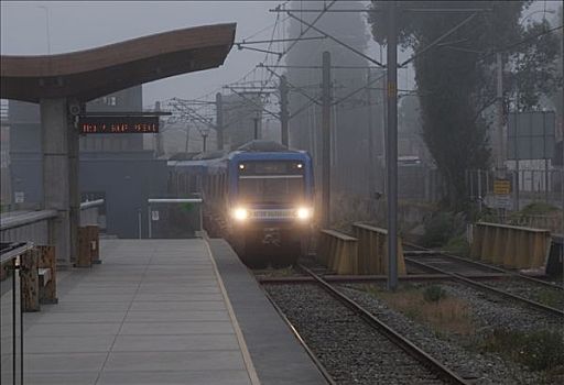 列车,雾,瓦尔帕莱索,智利