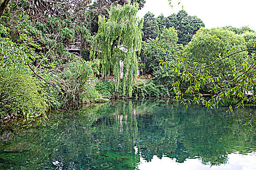 黑色,龙,水塘,乡村,丽江,云南,中国