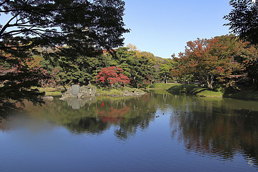 日式庭园,东京,日本