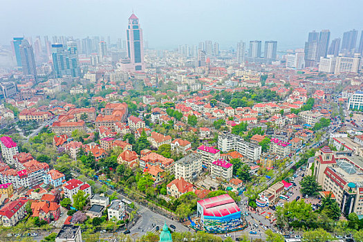 航拍山东青岛市南区城市红瓦绿树风光美景