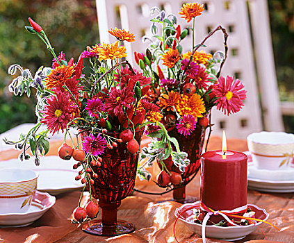 桌饰,菊花,蒲菊,野玫瑰果,琉璃苣
