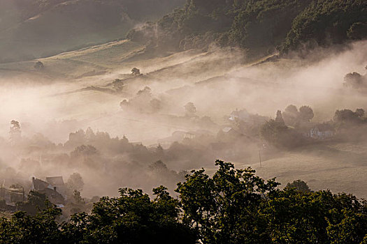 晨雾,山谷,格洛斯特郡,英格兰,英国